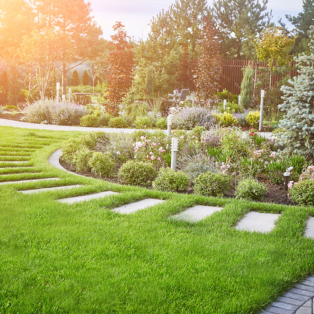 Landscaping services in Greenville SC and Simpsonville SC