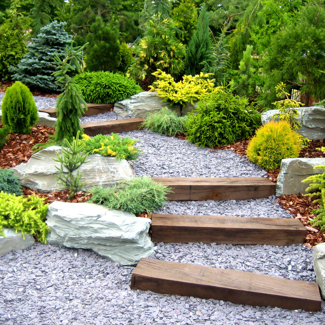 Landscaping services near me in Greenville SC and Simpsonville SC
