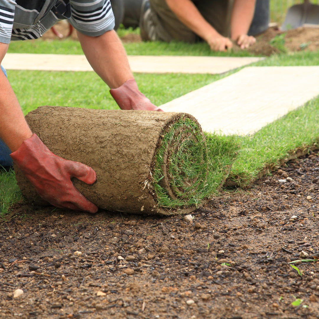 Luxurious Landscapes Greenville SC
